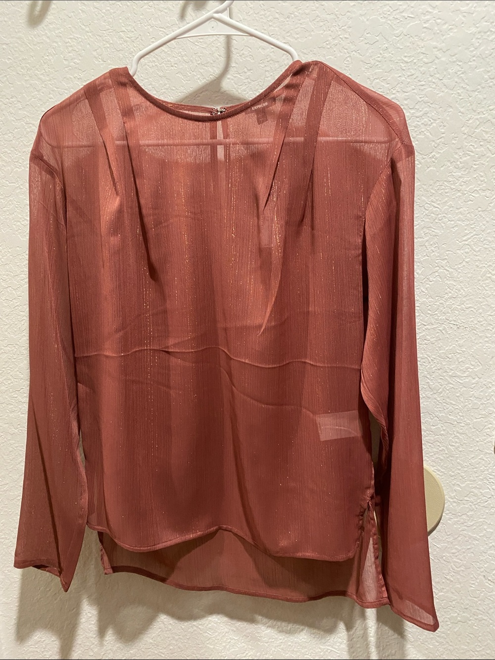 Express Sheer Blouse in Rust with Subtle Metallic Stripes